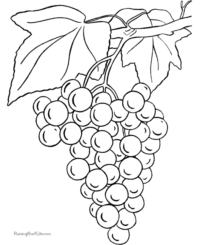 Plansa de colorat cu Fructe 218 4